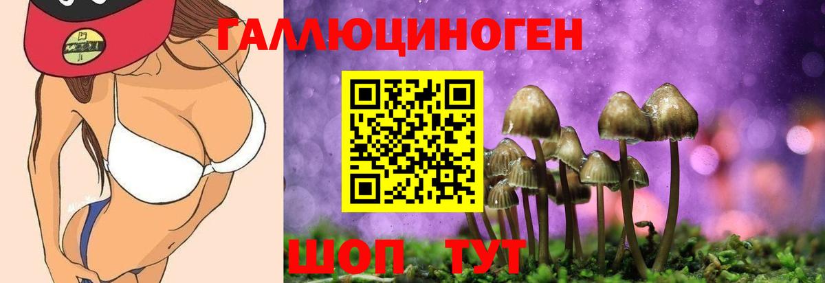 Дагестанские Огни  Галлюциногенные грибы ЛСД  Вход с VPN  Галлюциногенные грибы мицелий 